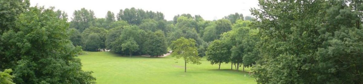 Aménagement d'extérieur des espaces verts à Ambronay pour particulier