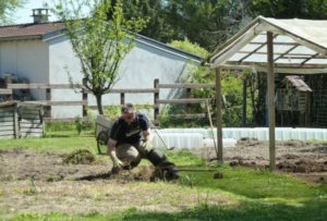 Entretien du jardin: le potager et l'arrachage des mauvaises herbes